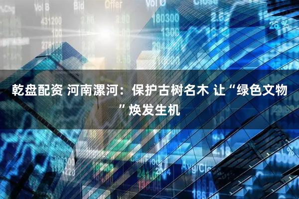 乾盘配资 河南漯河：保护古树名木 让“绿色文物”焕发生机