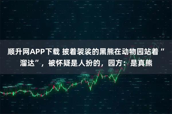 顺升网APP下载 披着袈裟的黑熊在动物园站着“溜达”，被怀疑是人扮的，园方：是真熊