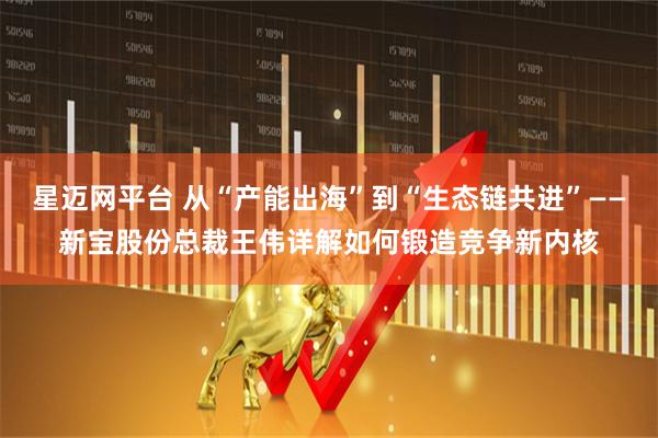星迈网平台 从“产能出海”到“生态链共进”——新宝股份总裁王伟详解如何锻造竞争新内核