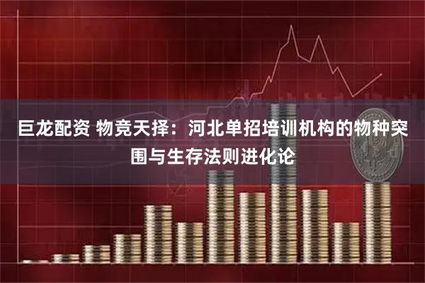 巨龙配资 物竞天择：河北单招培训机构的物种突围与生存法则进化论